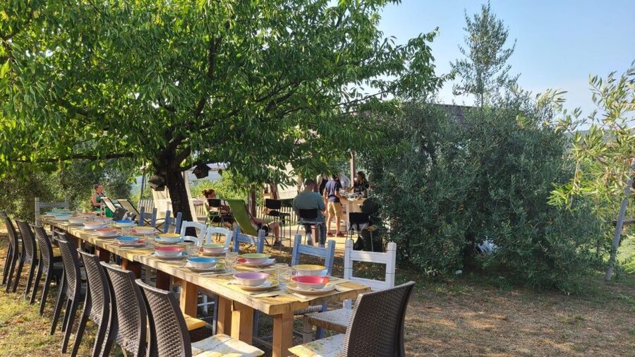 Cooking class in our family farm in Chianti with lunch - Bread and schiacciata: learning the dough that can do more than one job