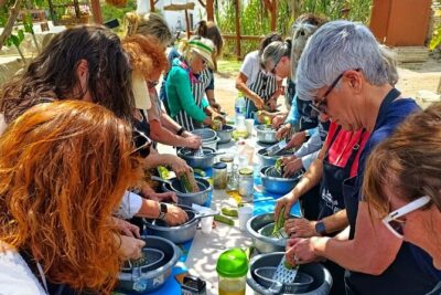 Cooking Class Sunset Dinner and Tour in Paros Farm - What you’ll cook: Greek classics with a Paros farm twist