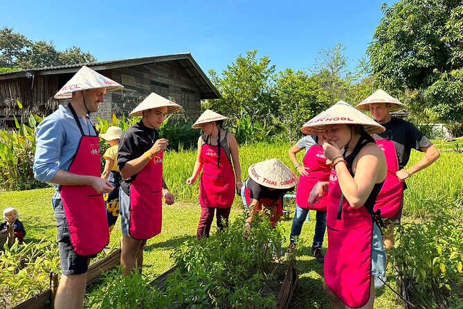 Cooking Class with Organic Farm in Chiang Mai - The organic farm: 1.6 acres of plants you can actually use