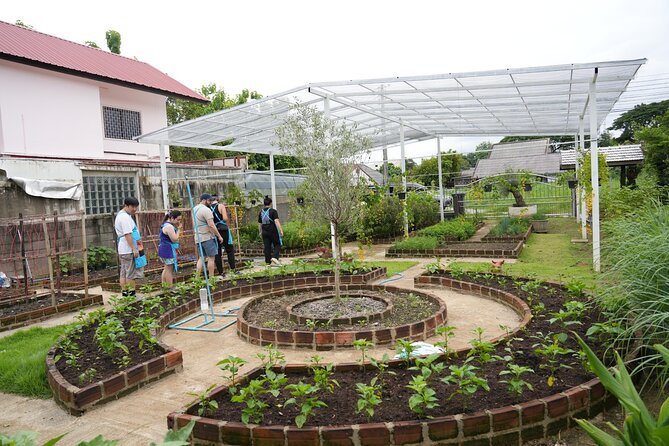 Cooking Class with Organic Farm in Chiang Mai at Mama Noi - Thai cooking class at Mama Noi: the real point of this experience