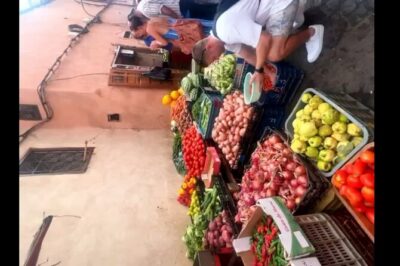 Cooking Classes Farm to Table Marrakech - The Farm Reset: Tea, Garden Walk, Then the Cooking Starts