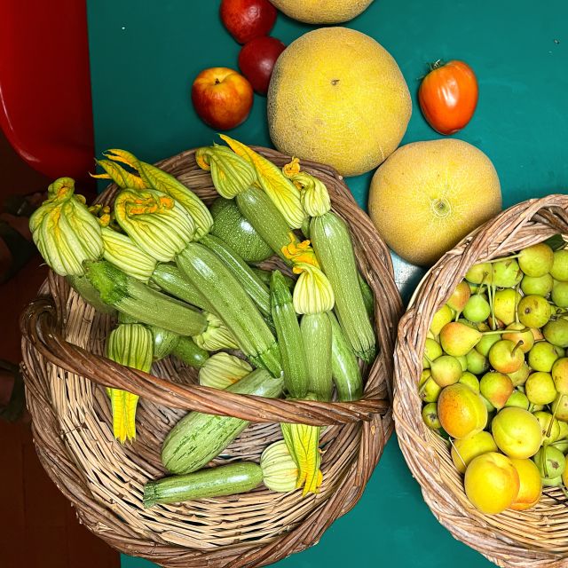 Corfu: Organic Olive Oil Farm Tour with Transfer and Tasting - Key Points That Make This Tour Worth Your Time