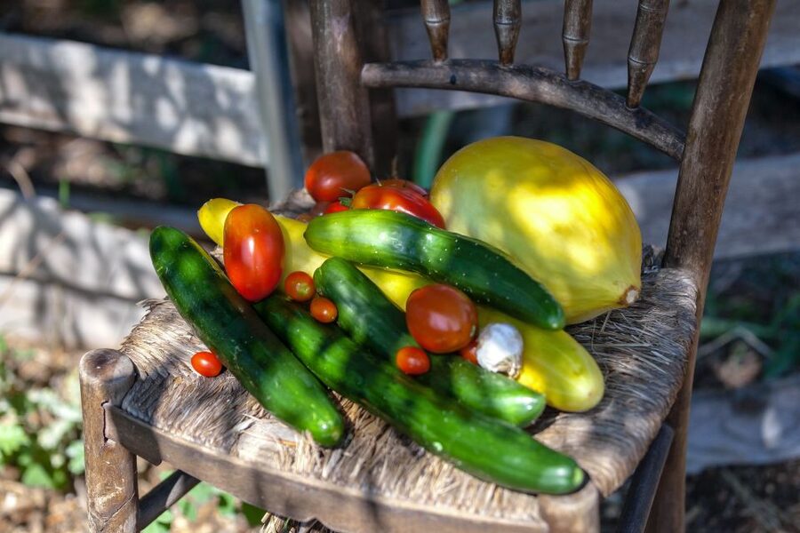 Corfu: Organic Olive Oil Farm Tour with Transfer and Tasting - FAQ