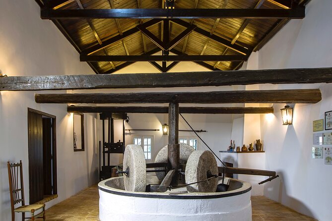 Corfu Organic Olive Oil Tasting at Family Farm - Olive Oil Tasting + Seasonal Vegetables: How to Make the Most of It