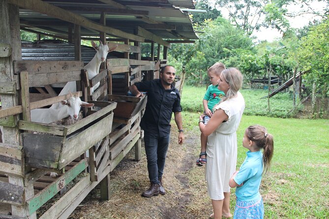 Costa Rica Descents Organic Farm - Key highlights at a glance