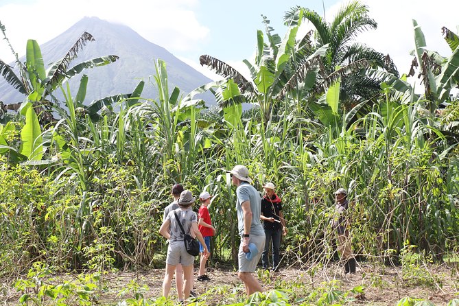 Costa Rica Descents Organic Farm - Lunch with coffee or tea: why the meal is part of the point
