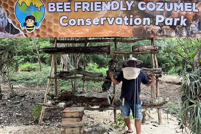 Cozumel: Hands-On Chocolate, Tortilla, Salsa & Honey Experience - The highlights that matter most