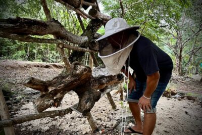 Cozumel: Hands-On Chocolate, Tortilla, Salsa & Honey Experience - How the private “your pace” format works