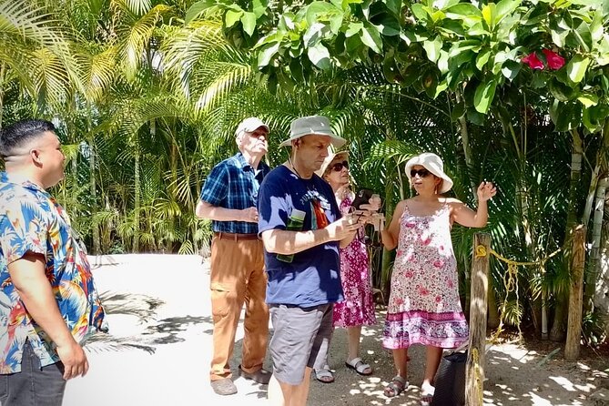 Cozumel: Hands-On Chocolate, Tortilla, Salsa & Honey Experience - Seasonal local liqueurs: the tasting that can change by time of year