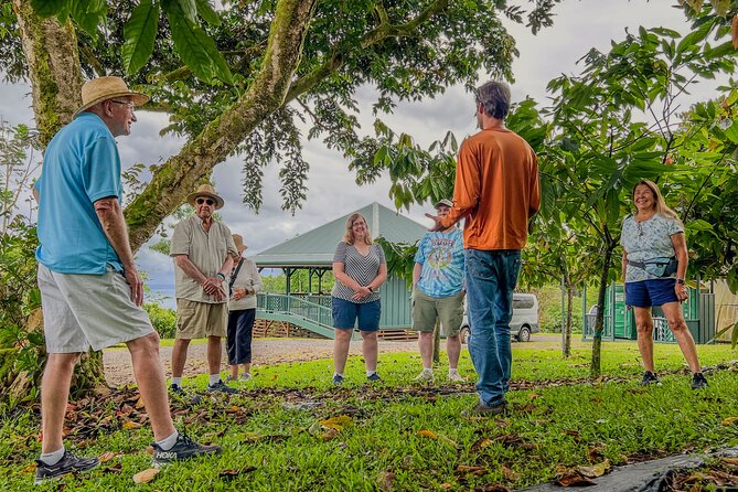 Craft Chocolate Tasting and Farm Experience on the Big Island - The orchard walk with Wrenn Bunker: cacao farming in plain language