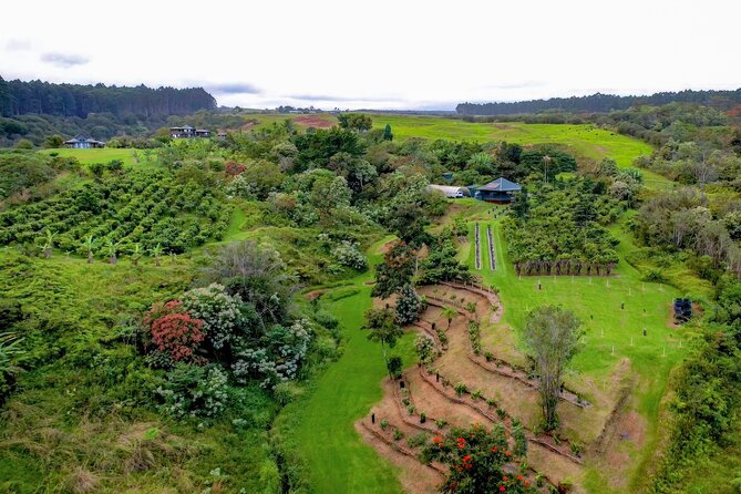 Craft Chocolate Tasting and Farm Experience on the Big Island - Fermentation and after-harvest processing: the step most people skip