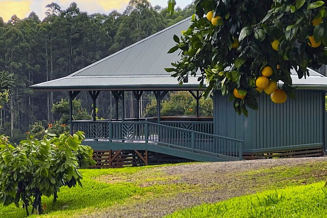 Craft Chocolate Tasting and Farm Experience on the Big Island - Chocolate history that actually connects to Hawaii today