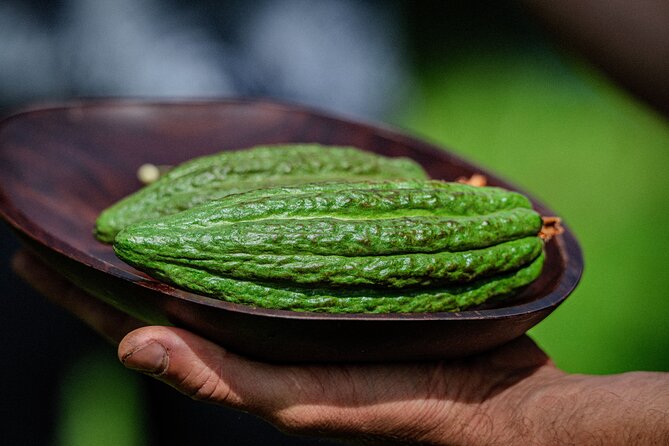 Craft Chocolate Tasting and Farm Experience on the Big Island - The tasting lineup: what you’ll sample and why it’s more than bar after bar