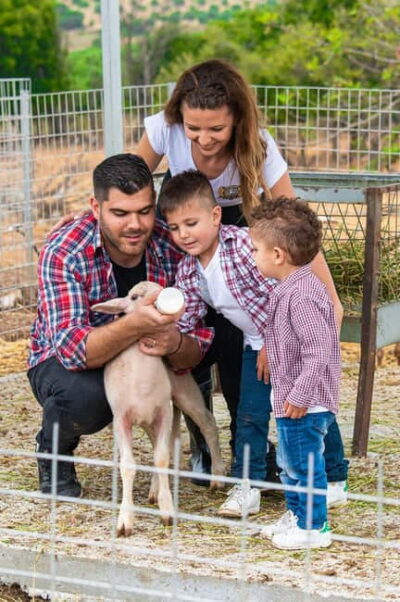 Crete: Farm Visit with Cheese Tasting and Milking Experience - Getting there from Rethymno: easy to pair, just plan transport