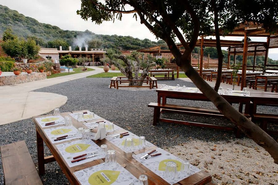 Crete: Road-trip to Lasithi Plateau & Olive Mill Farm - When this day adds Knossos Palace (and what that means for your time)