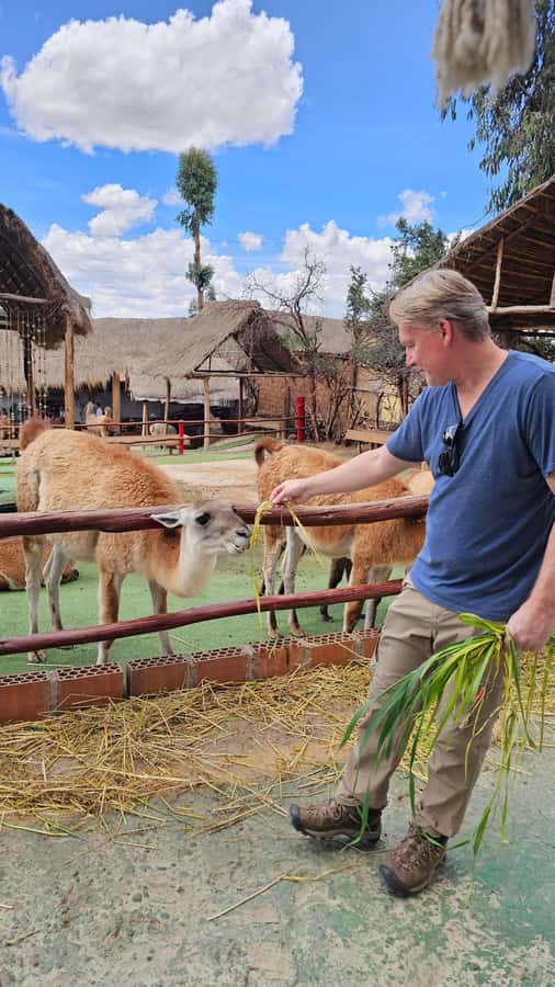 Cusco: Alpaca and Llama Farm Tour w/ Transfer & Weaving Demo - Cusco Alpaca Farm Time: A Fresh Air Break That Still Feels Connected