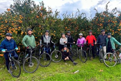 Cycling Through Vineyards & Farm Lunch & Ephesus visit - Cycling Through Çamlık and Village Roads: Easy Riding, Real Stops