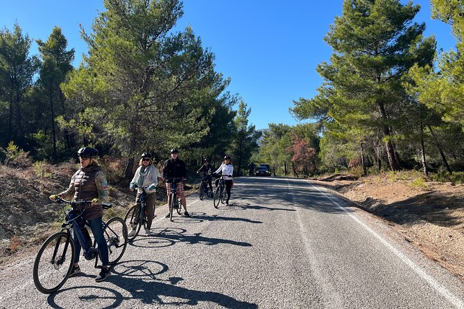 Cycling Through Vineyards & Farm Lunch & Ephesus visit - Who This Tour Suits Best in Kuşadası