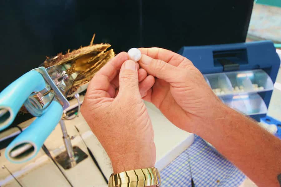 Cygnet Bay Pearl Farm Behind-the-Scenes Tour & Live Harvest - The live pearl harvest: what you’re really learning during the demonstration
