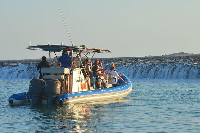 Cygnet Bay Sea Safari & Pearl Farm Tour Scenic Flight - Key things that make this tour worth your time