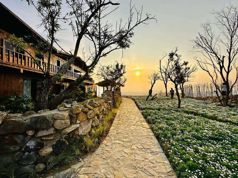 Da Lat: Sunrise Panorama, Green Tea Hill and Strawberry Farm - Key things to know before you go