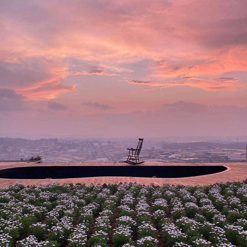 Da Lat: Sunrise Panorama, Green Tea Hill and Strawberry Farm - Green tea hill walks with real wind turbines (not just scenery)