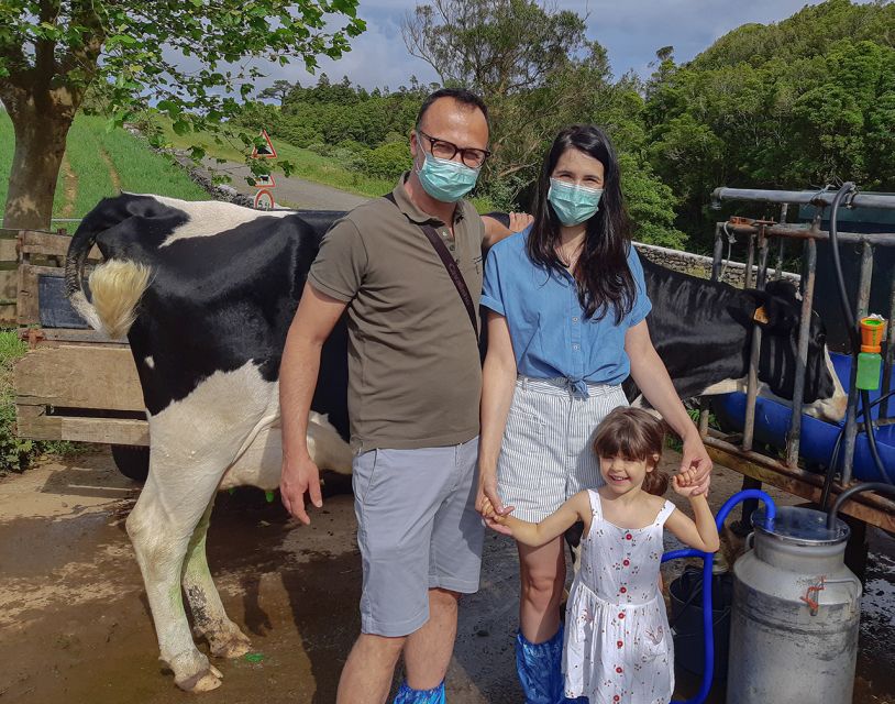 Dairy farm Visit and Cow Milking Experience in Azores - Getting Your Hands on the Milking Experience