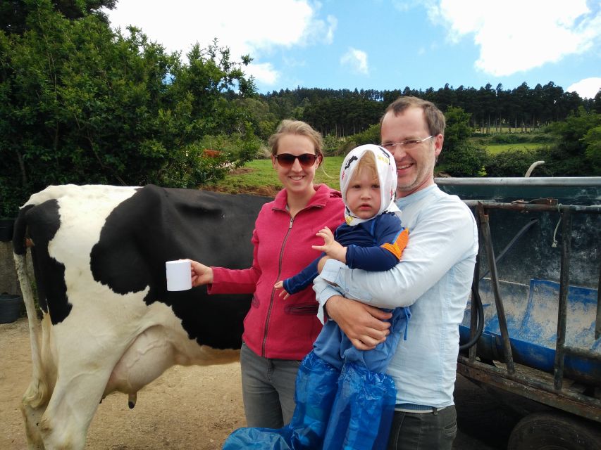 Dairy farm Visit and Cow Milking Experience in Azores - Cheese and Wine Tasting in a Private Home