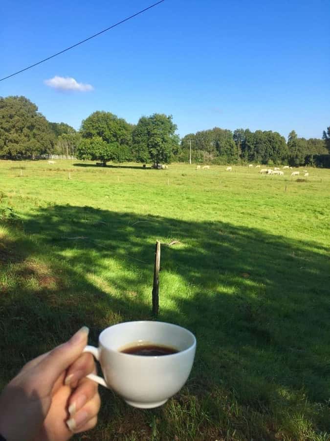 Day Tour to Fairview Coffee Farm - The garden coffee break: coffee, cookies, and milk options