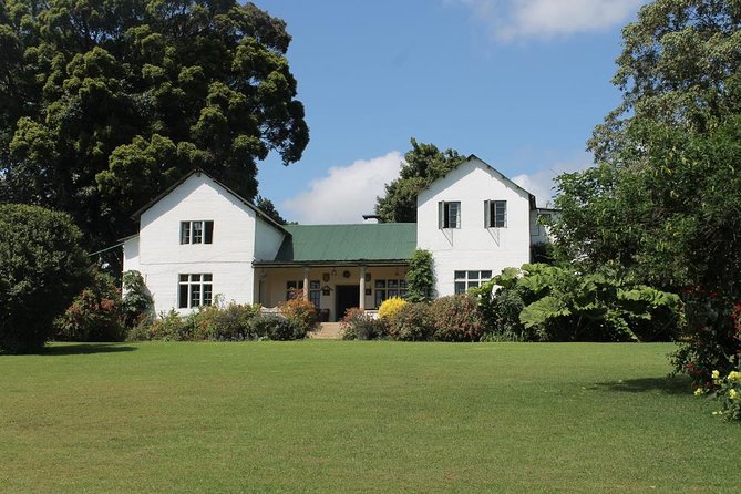 Day Tour To Kiambethu Tea Farm in Limuru - Getting to Limuru: Nairobi pickup, drive, and the White Highlands feel