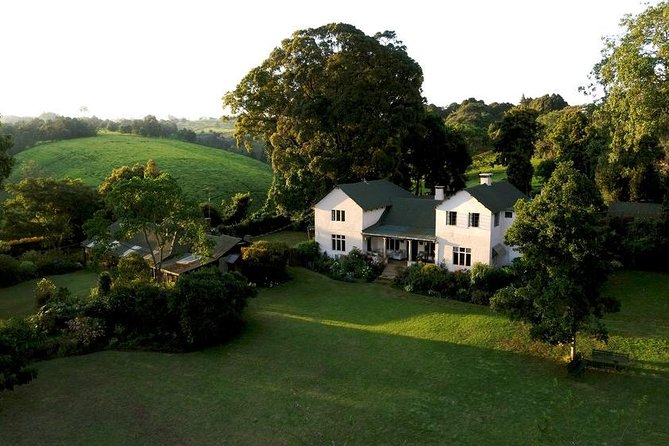 Day Tour To Kiambethu Tea Farm in Limuru - How the full 8 hours play out (and where you may feel time pressure)