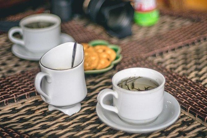 Day Tour To Kiambethu Tea Farm in Limuru - Who this Kiambethu tea farm tour is best for