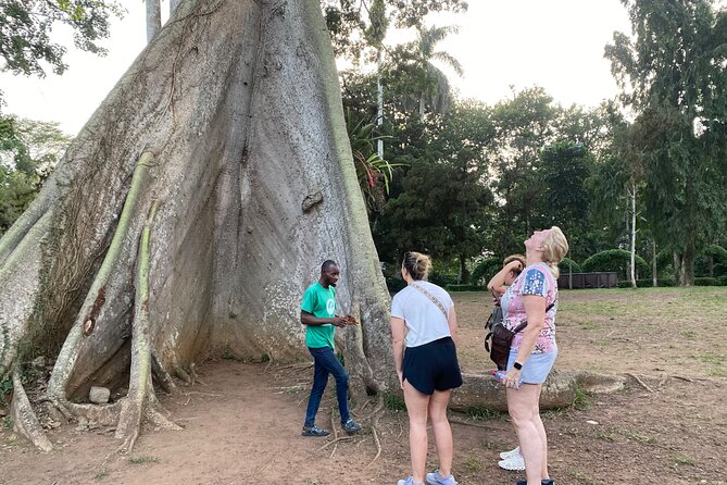 Day Trip Near Accra - Visit Aburi Gardens, Waterfall & Cocoa Farm - Key highlights you’ll feel right away