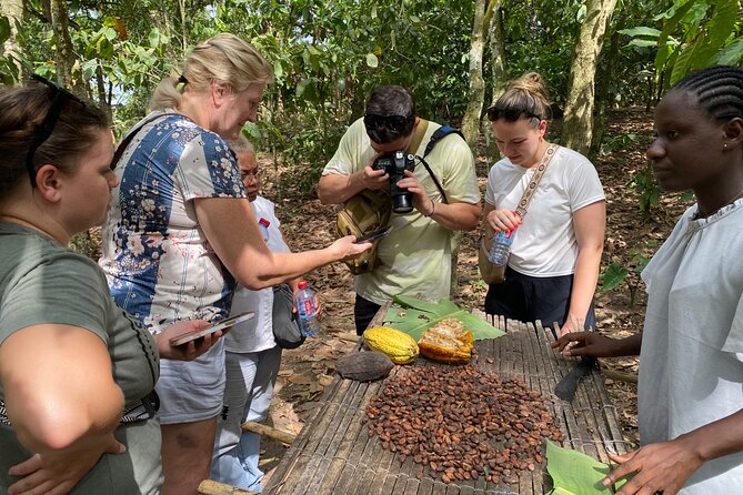 Day Trip Near Accra - Visit Aburi Gardens, Waterfall & Cocoa Farm - Why Aburi Works for a Half-Day Escape From Accra