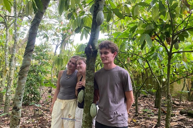 Day Trip Near Accra - Visit Aburi Gardens, Waterfall & Cocoa Farm - Lunch and the Timing Math of a 4–5 Hour Day