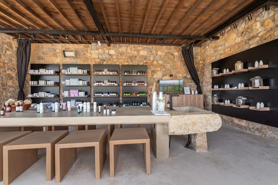 Discover Aloe: A Farm Walk & Workshop - Should you book Discover Aloe: A Farm Walk & Workshop?