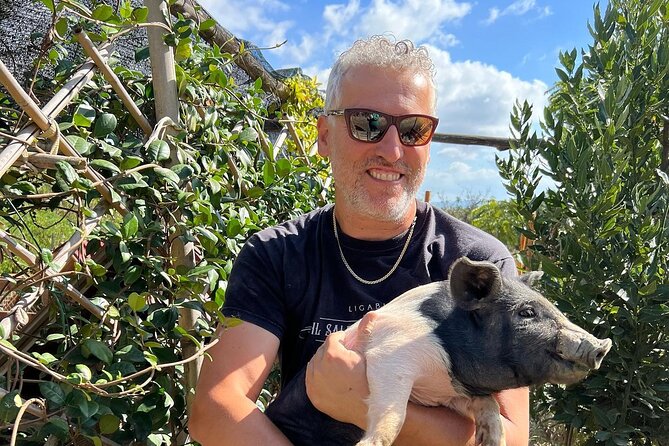 Discover Montepulciano: Cinta Senese Pigs, Lunch & wine in a Farm - Key Things I’d Put on Your Radar