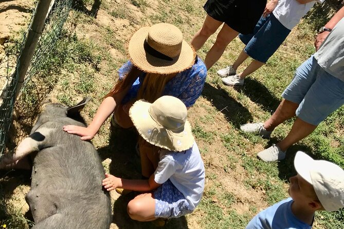 Discover Montepulciano: Cinta Senese Pigs, Lunch & wine in a Farm - Wine Pairing and the Taste of Montepulciano: Rosso DOCG in Context