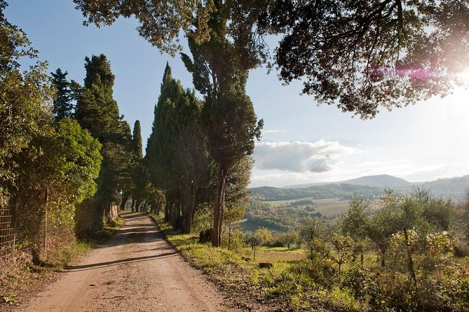 Discover Montepulciano: Cinta Senese Pigs, Lunch & wine in a Farm - Time, Meeting Point, and Getting There Without Wasting Your Day