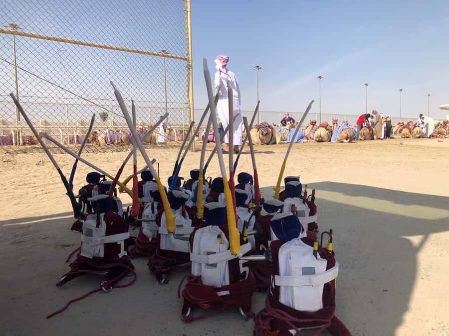 Doha Camel Racing Track: Oryx Farm & Sheikh Faisal Museum. - Al Shahaniya Camel Racetrack: What You’ll See in 30 Minutes
