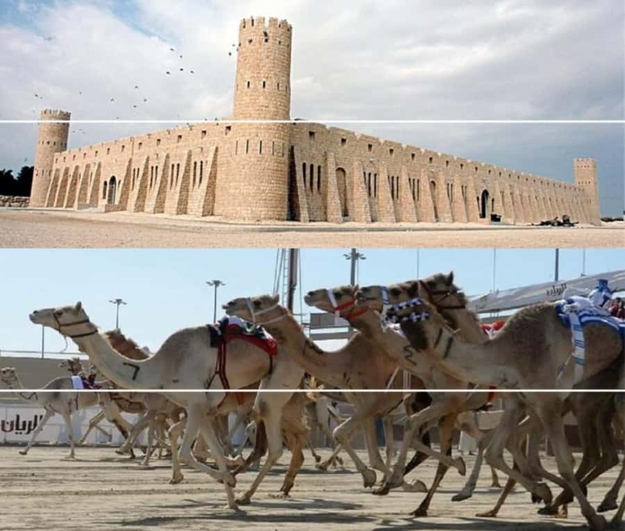 Doha Camel Racing Track: Oryx Farm & Sheikh Faisal Museum. - Getting There: Stadium Pass-By and How the Day Flows