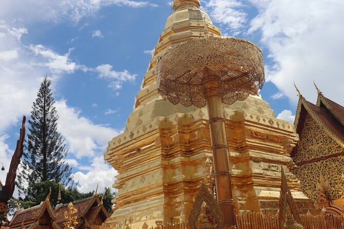 Doi Suthep Temple, Pha Lat Temple, Sticky Waterfall, Orchid farm - Orchid and Butterfly Farm: A Midday Reset That Breaks Up the Climb