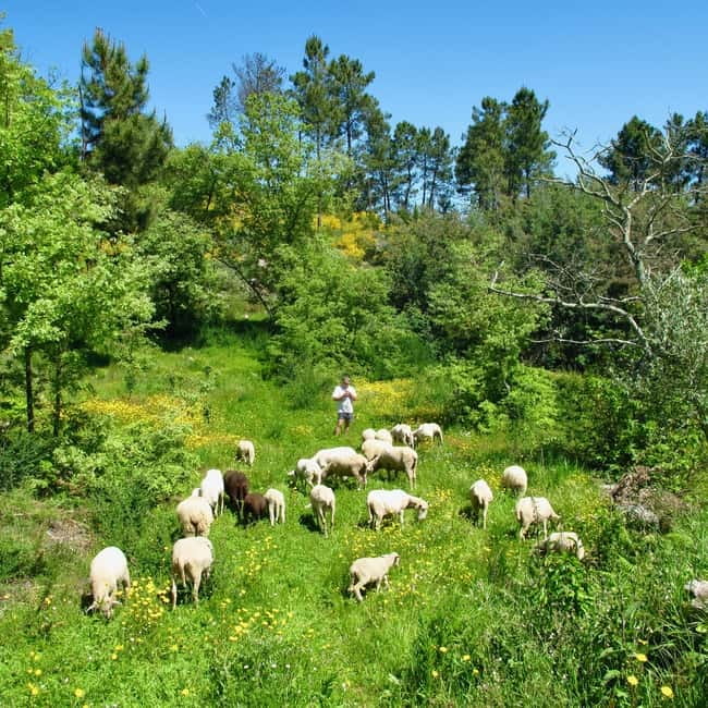 Douro Valley: Traditional Cooking Class, Farm Tour & Lunch - Entering Quinta de Louredo: a home base, not a show