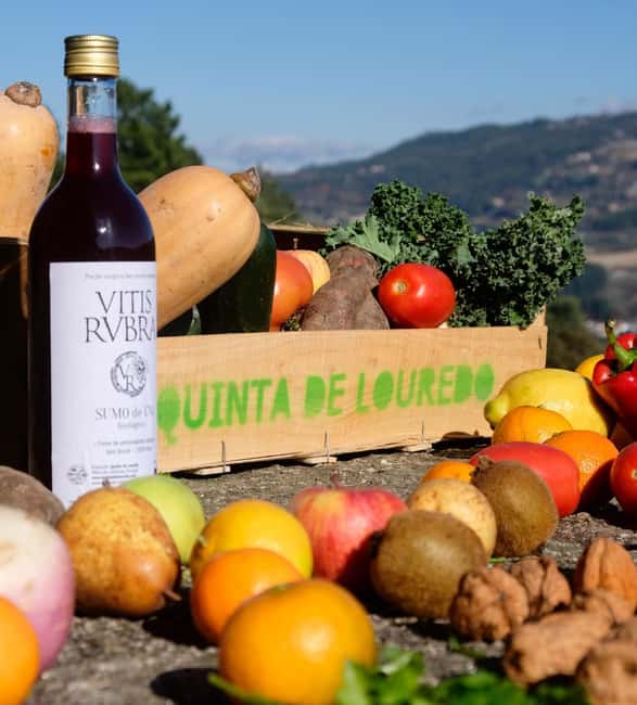 Douro Valley: Traditional Cooking Class, Farm Tour & Lunch - Farm tour and harvesting: animals, orchard stops, and eggs from the coop