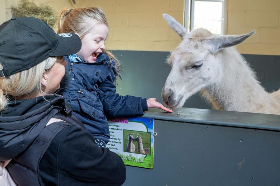 Durham: Adventure Valley Farm Park Entry Ticket - Adventure Valley in Durham: farmyard fun with serious kid power