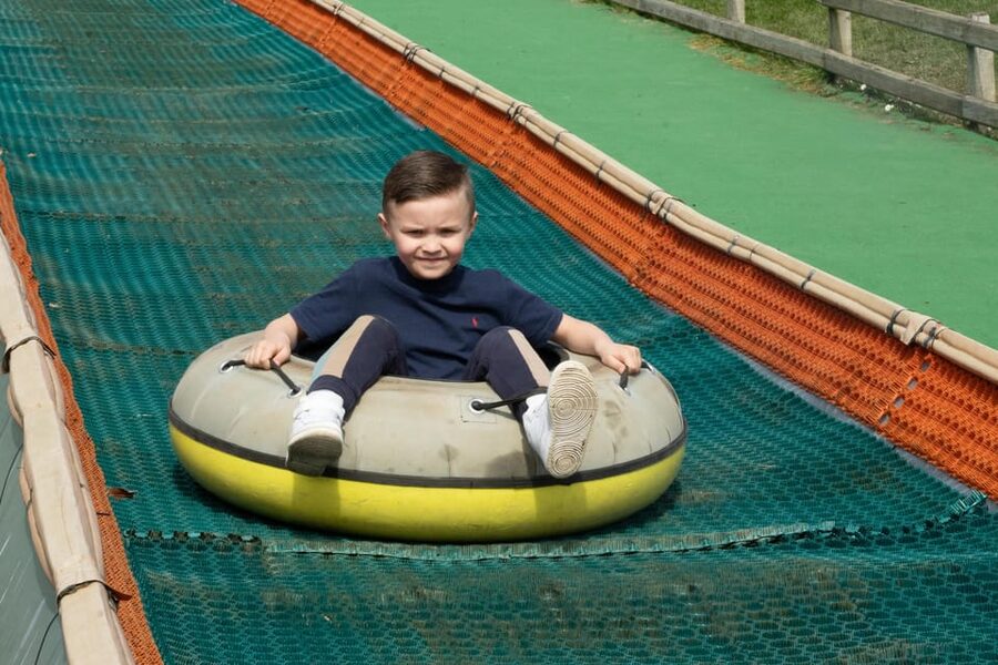 Durham: Adventure Valley Farm Park Entry Ticket - Animal Barn feeding sessions, plus Bertie the fastest tortoise
