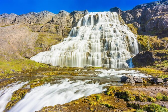 Dynjandi Waterfall & Iceland Farm Visit Tour - Stop 2: Thingeyri and Gemlufell Farm for Coffee, Tea, and Icelandic Cake