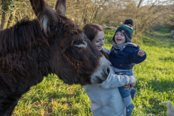 E-bike Tour to Alberobello with Visit to a Donkey Farm - Weather, Timing, and Who This Fits Best