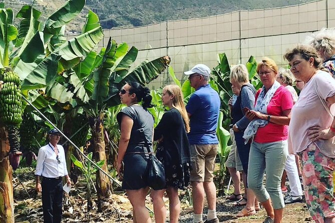 Eco banana farm Tour - Why this eco banana tour feels real in Tenerife
