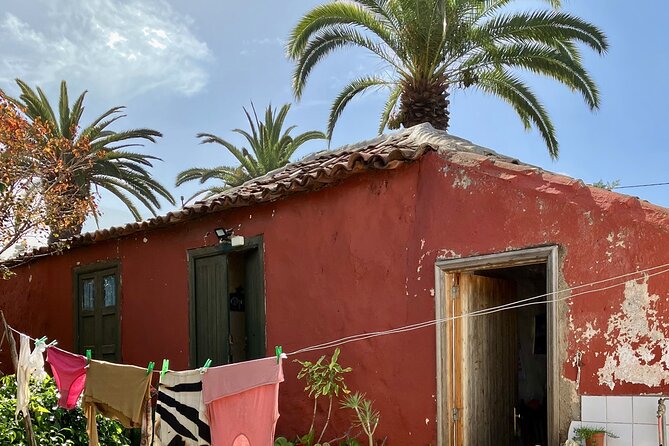 Eco banana farm Tour - The tastings that turn a walk into a memory